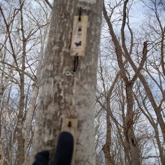 山鼻山にタッチ👆 出来な〜い😆
どう頑張っても届きませんねぇ