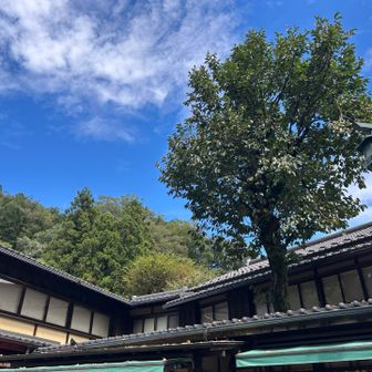 下山！
老舗蕎麦屋には既に行列が😲
持って行ったオニギリ🍙と水の他は
呑まず🍺食わず🍜
帰路につきました😅