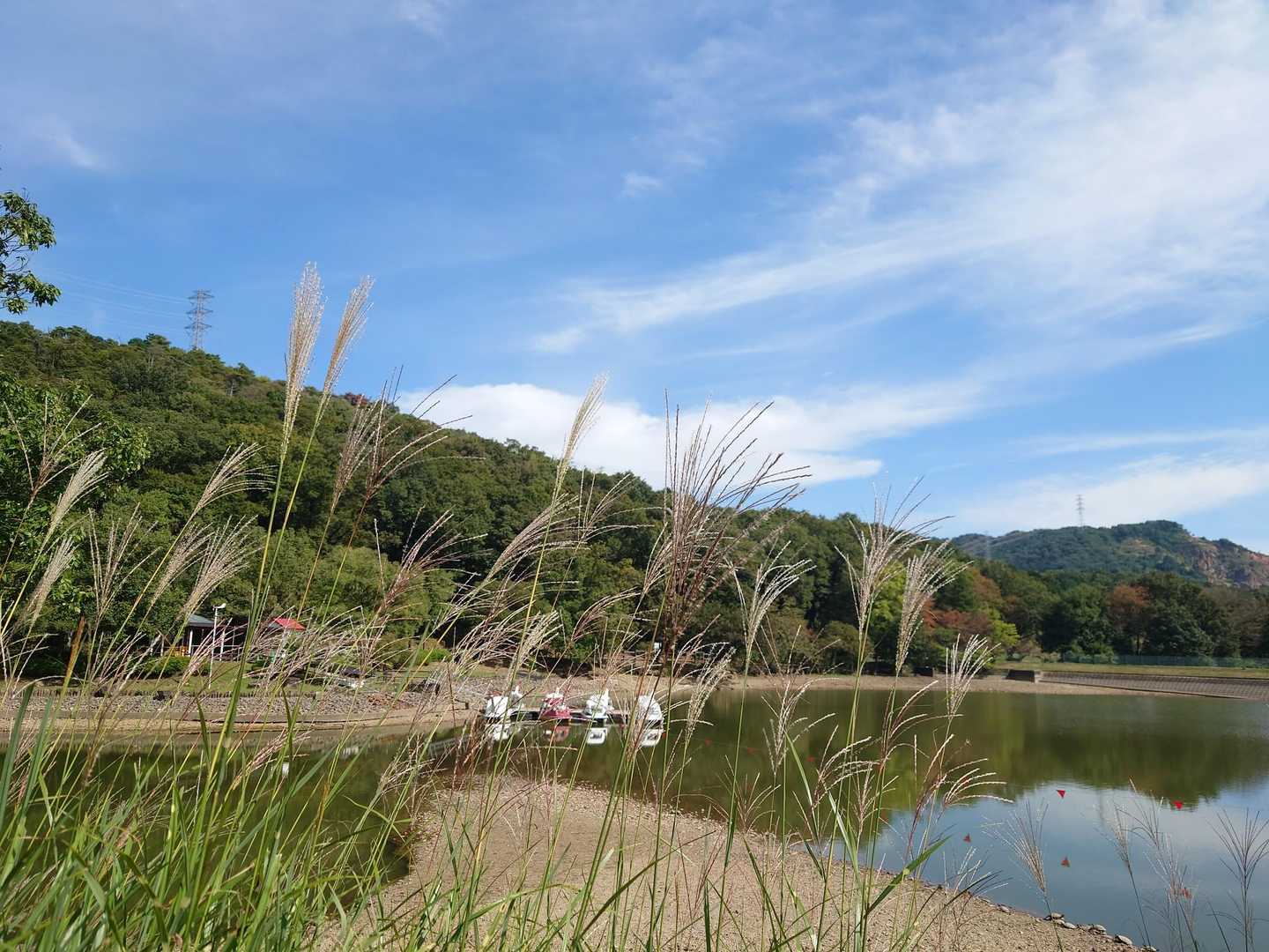 秋のはずなんだけど、まだまだ暑い💦