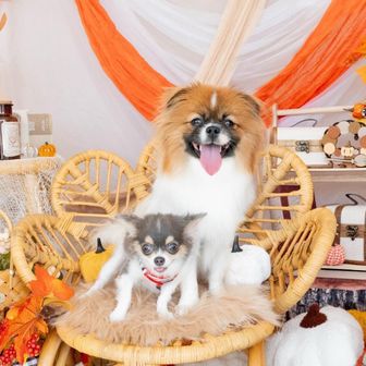 水、、、うまい