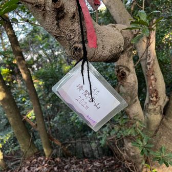 清閑寺山 到着