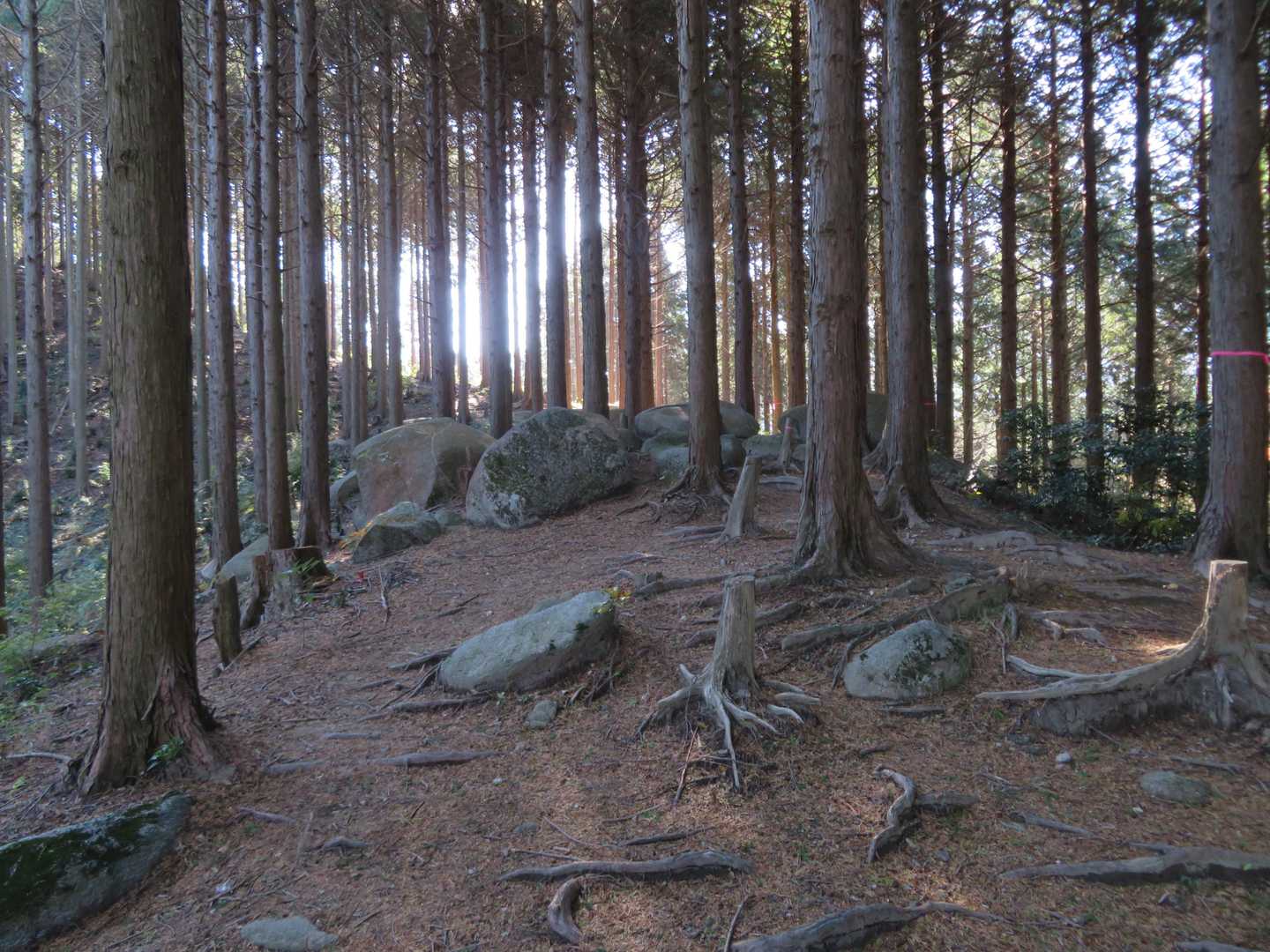 転石ゴロゴロの登山道