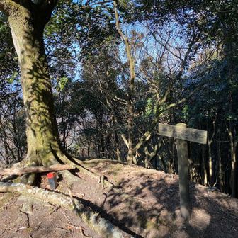 北峰。眺望なし