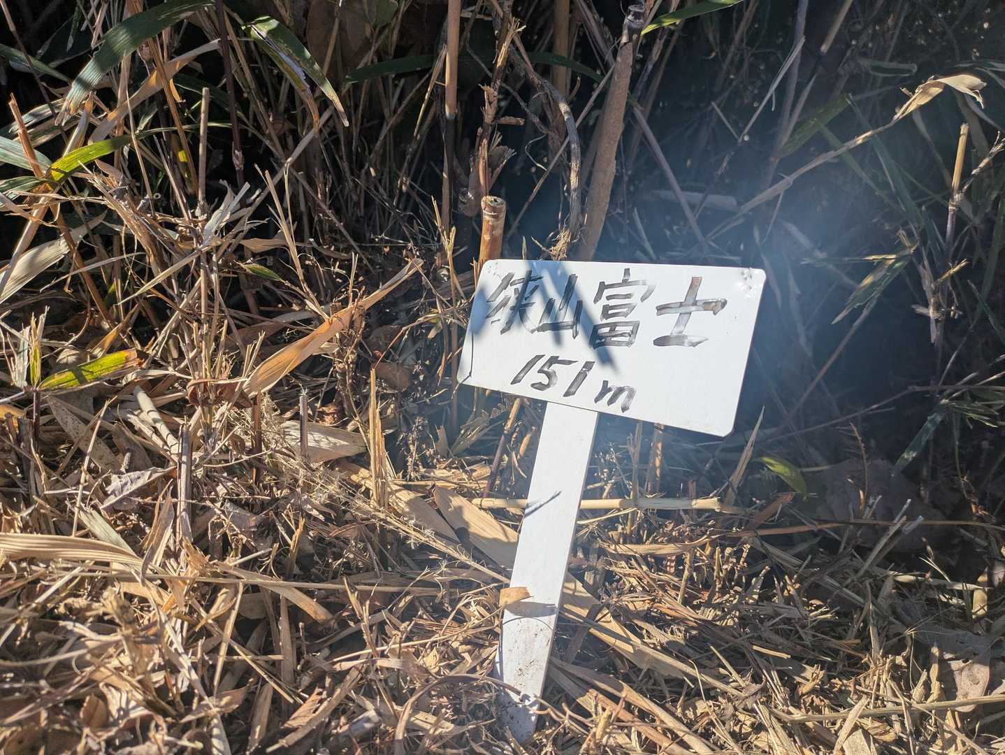 道路脇からちょっと入って
狭山富士登頂🙌
ブナ枯れによる立入禁止区域がありましたが、山頂には行けます🕺