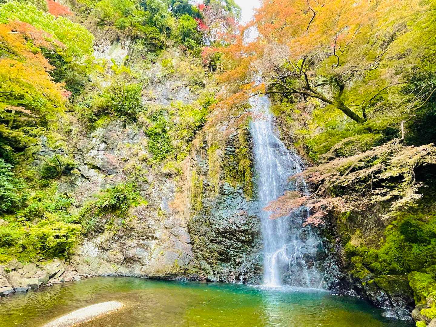 瀧安寺-石子詰登山口-箕面山-三国峠-六個山 周回コースの写真