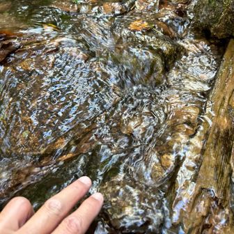 信濃川の始まりと言われれば触れたくなる😊

冷たくきれいで気持ちいい

そして、ここまではハイキングコースのようでしたが、この先から鈍ったからだにムチ打つコースに😵‍💫