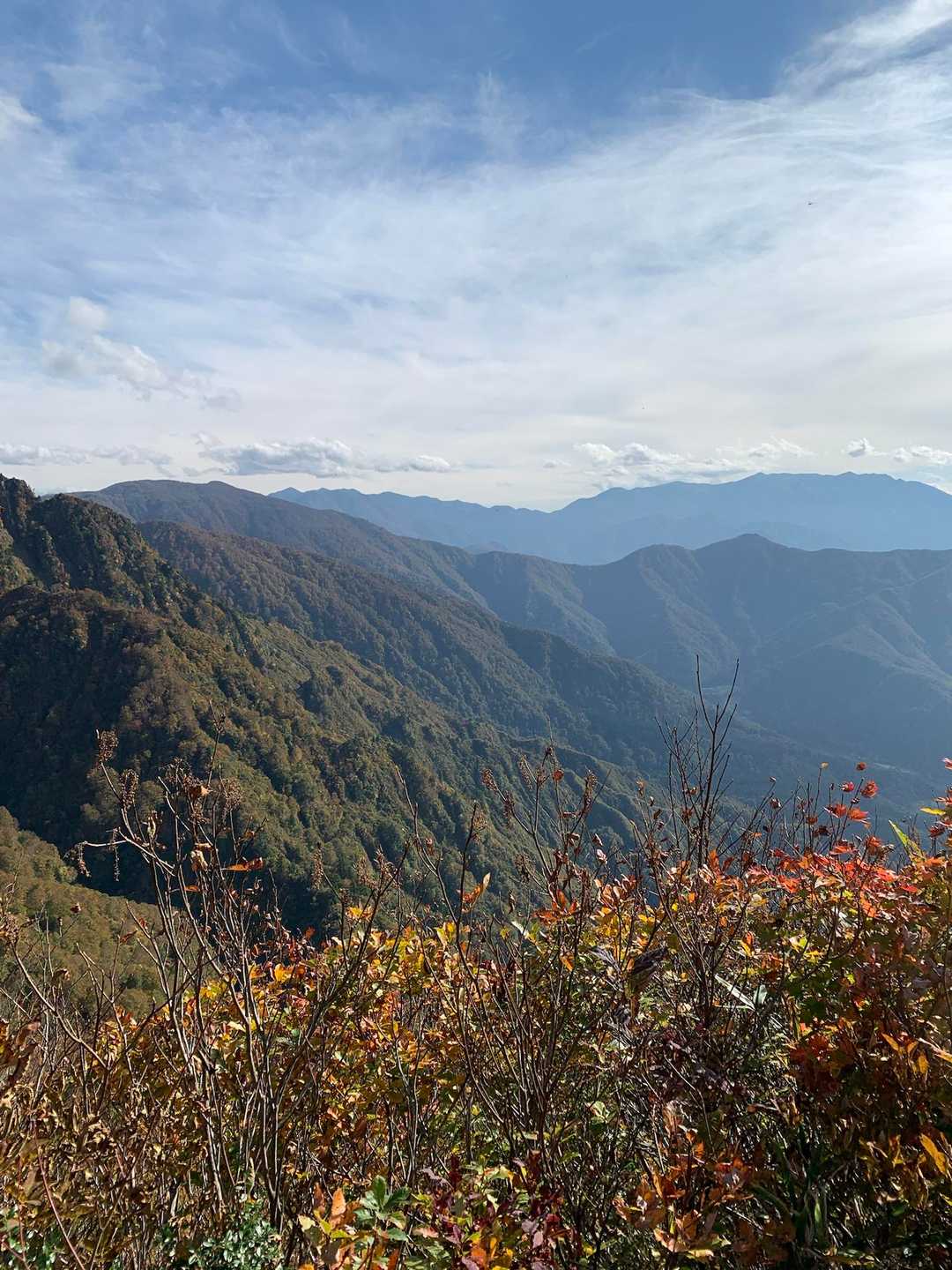 山頂駅-薬師岳 往復コースの写真