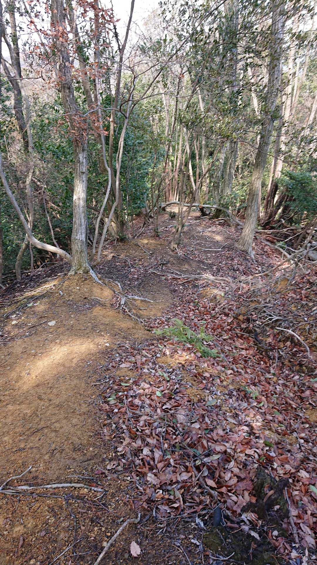 沓掛山 往復コースの写真