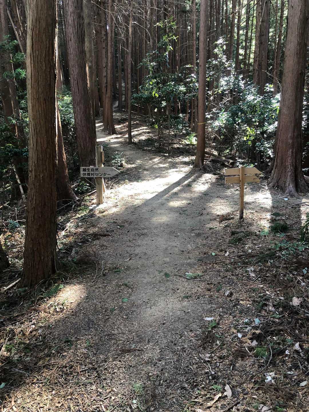 綺麗に整備されてます😍