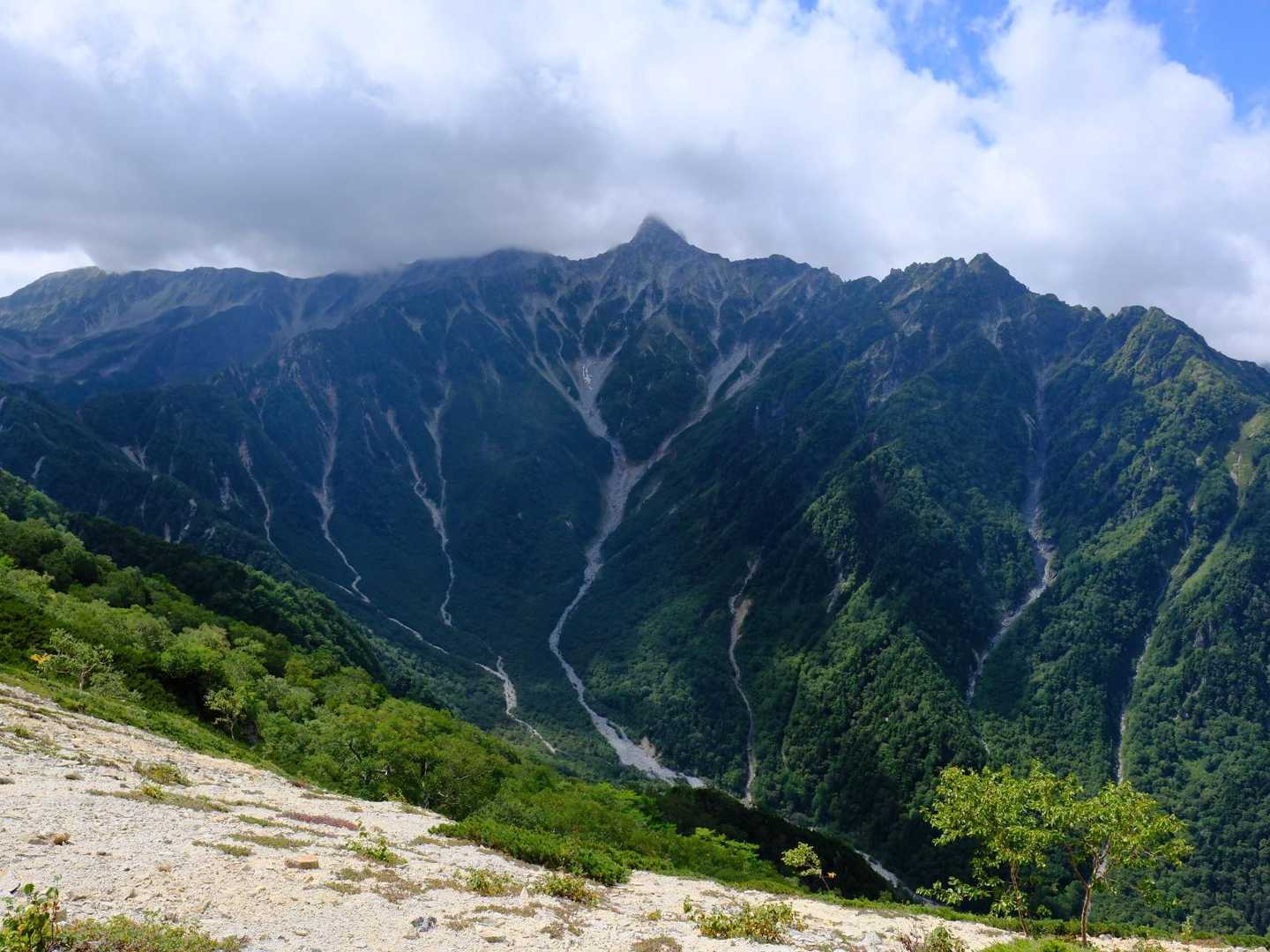 大下りノ頭 周回コースの写真
