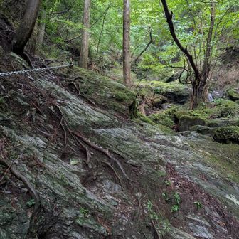 冬場でも特に感じ無かったが、今回初めてここの岩場に穿った足場のありがたみがわかりました。
