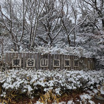 雪の東谷山登山口