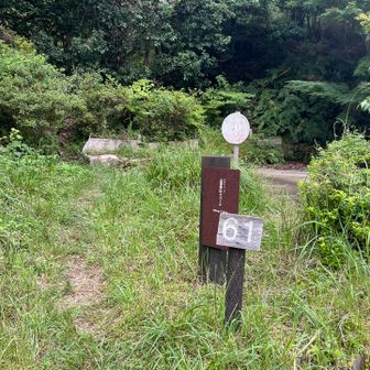Aコースからスタート