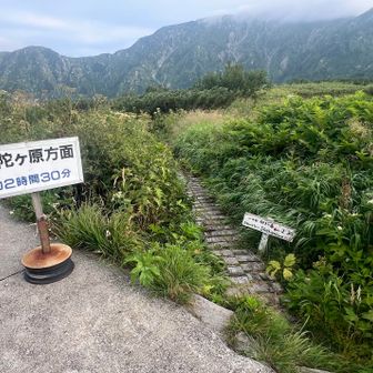 山荘の前に登山道入口
道はもう一本あるみたく、そちらのほうが楽しいらしい