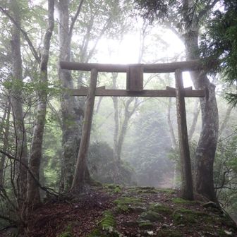 鳥居