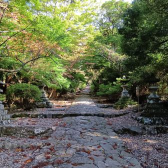 キレイですね
紅葉はまだですけど
