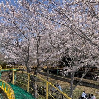 ・・・なんて息子と歌いながら♪