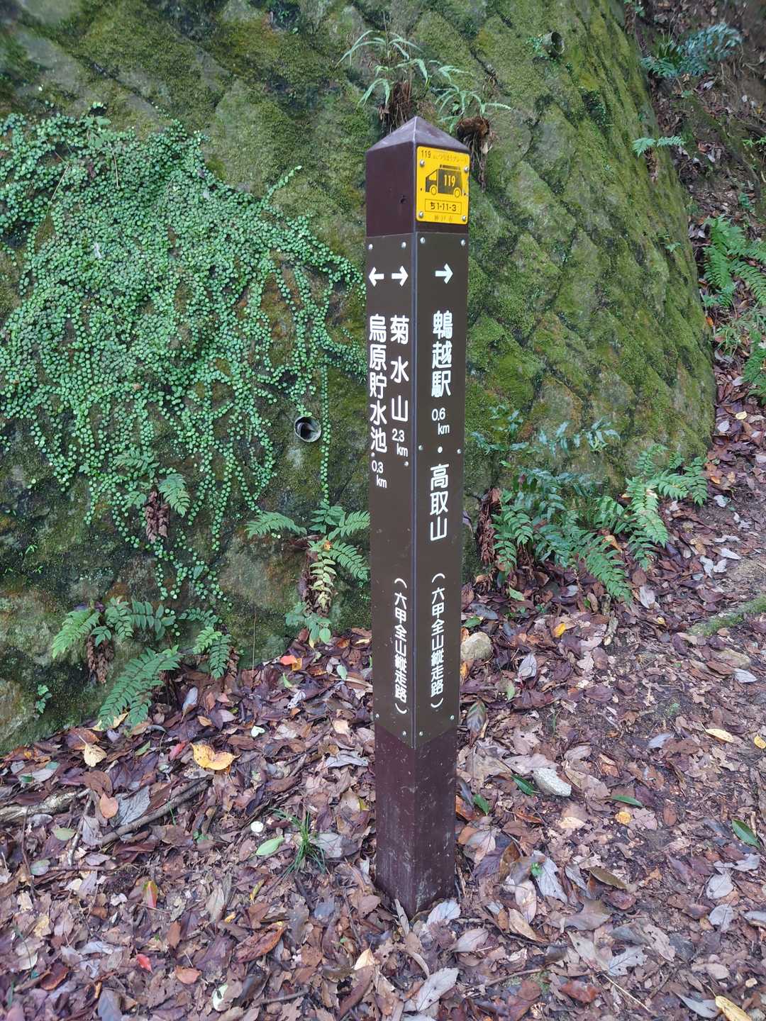 鵯越駅-石井ダム登山口-菊水山-鈴蘭台駅 縦走コースの写真