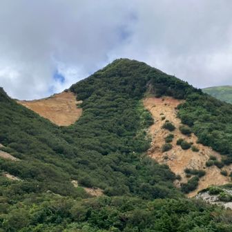 駱駝山を目指します⛰️