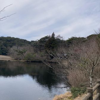 じゅんさい池　風があって寒いです😨