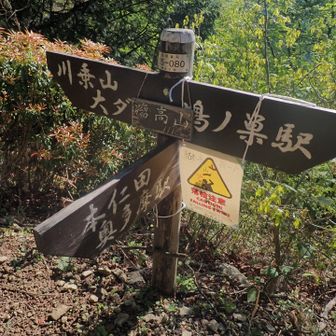 道標にかけられた山頂標識