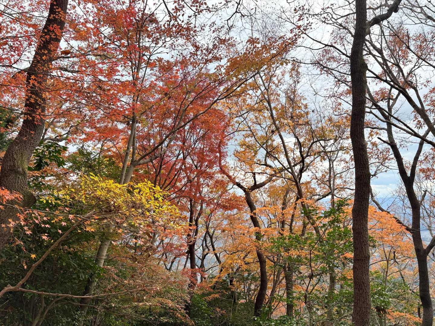 青空ないけど～色とりどり😊