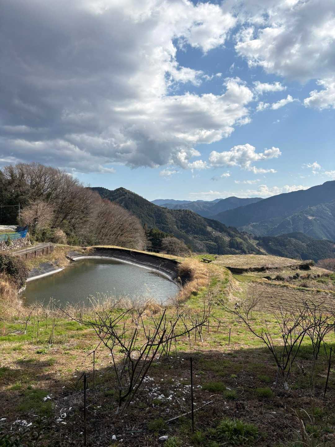 黒森山登山口-黒森山 往復コースの写真