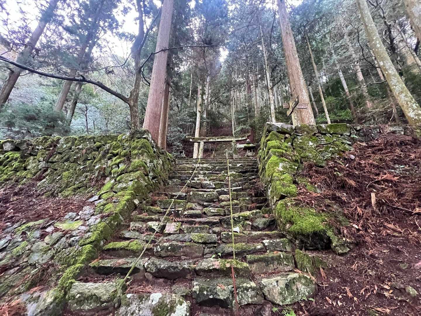 さすがにこれは登りません💦
巻道あります…