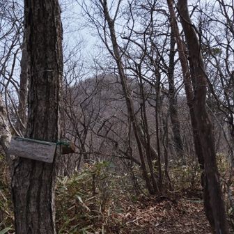 五七六山　山頂