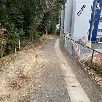 お疲れ山でした〜⛰️✨