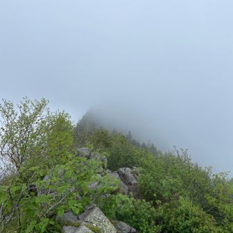 全く景色は見えん。