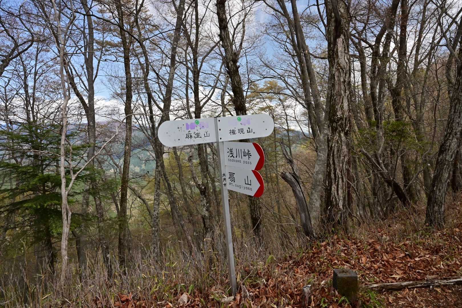 登りきったか？