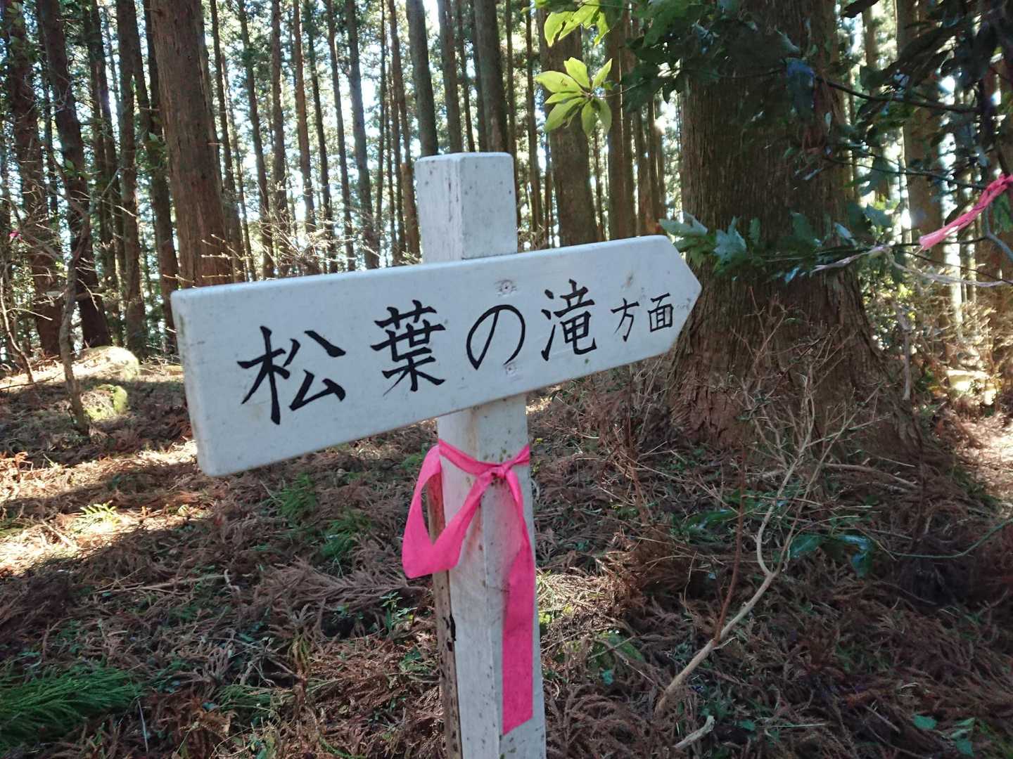 倉真温泉バス停-粟ヶ岳-高塚山-岳山-岳山 登山口 周回コースの写真