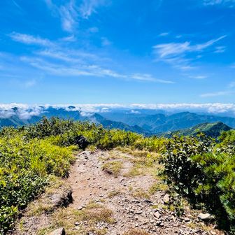 ここまでの藪が嘘のように
山頂だけ開けてる