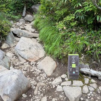 富士見平分岐まできたよ