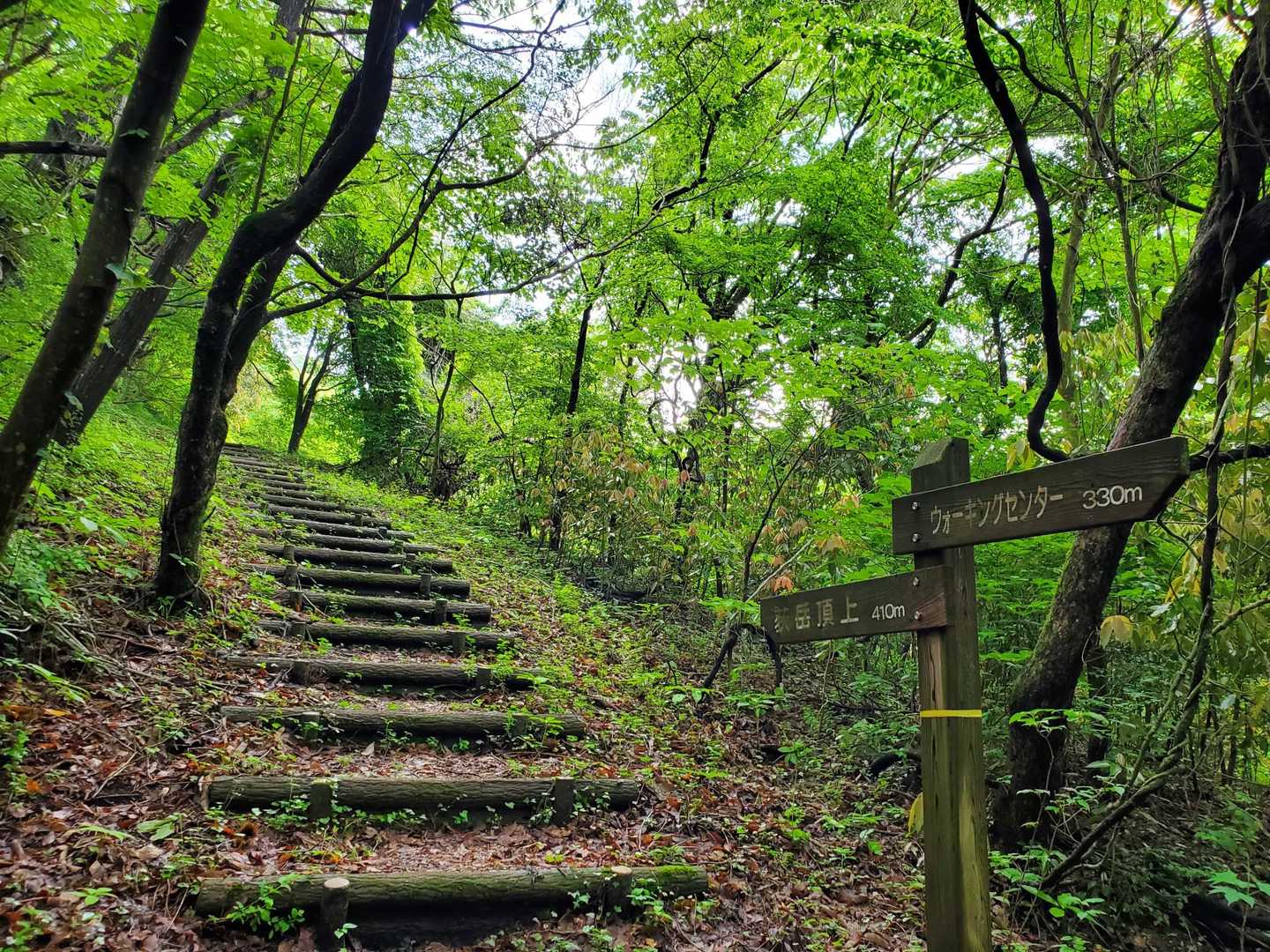 荻岳登山口-荻岳 往復コースの写真