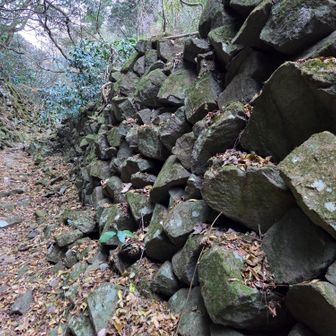 きれいに敷き詰められた