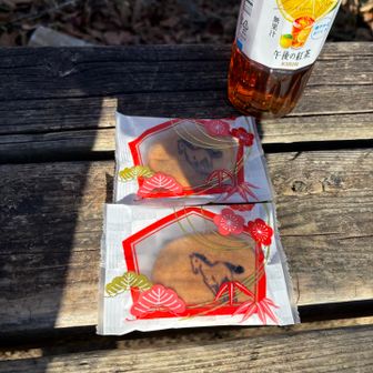 ベンチあります
京都のお土産
午年のお菓子🐎馬は駆け上がるのでおめでたくて良いですね