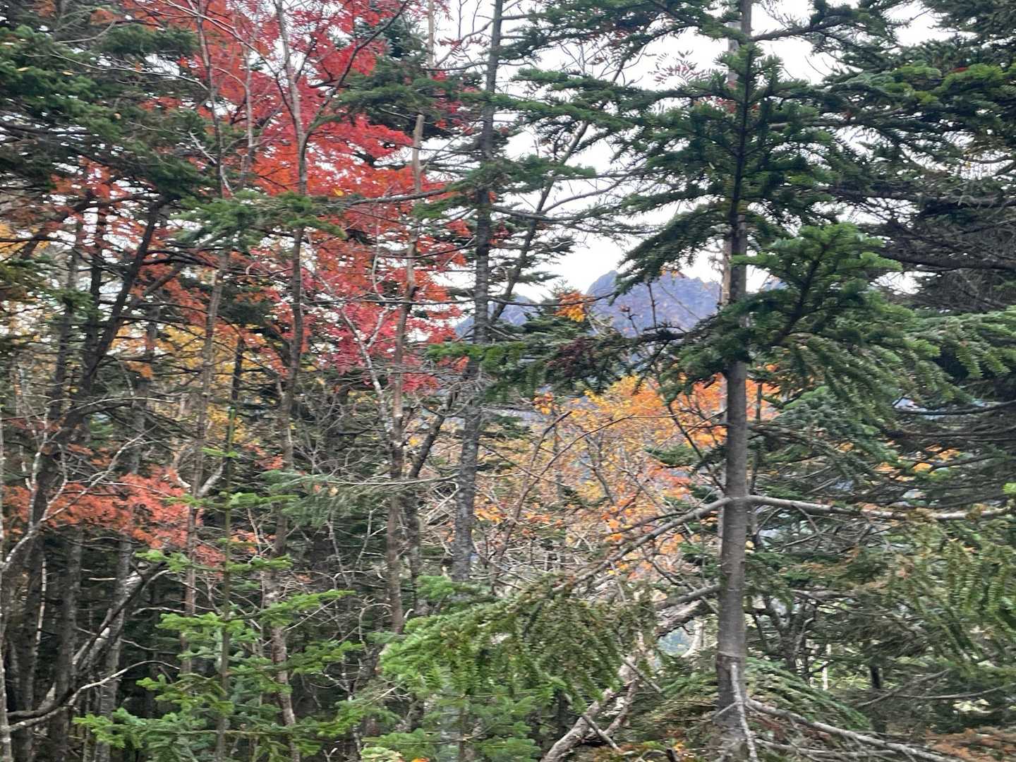 真っ暗な中、ヘッドライトで登ってきて、明け方を迎えたら、こんな絶景が😍