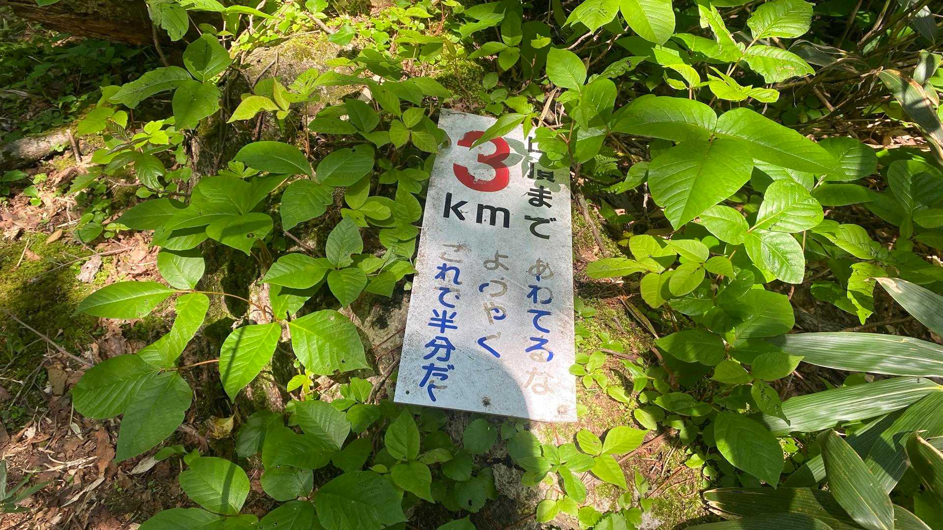 待根山まで半分。