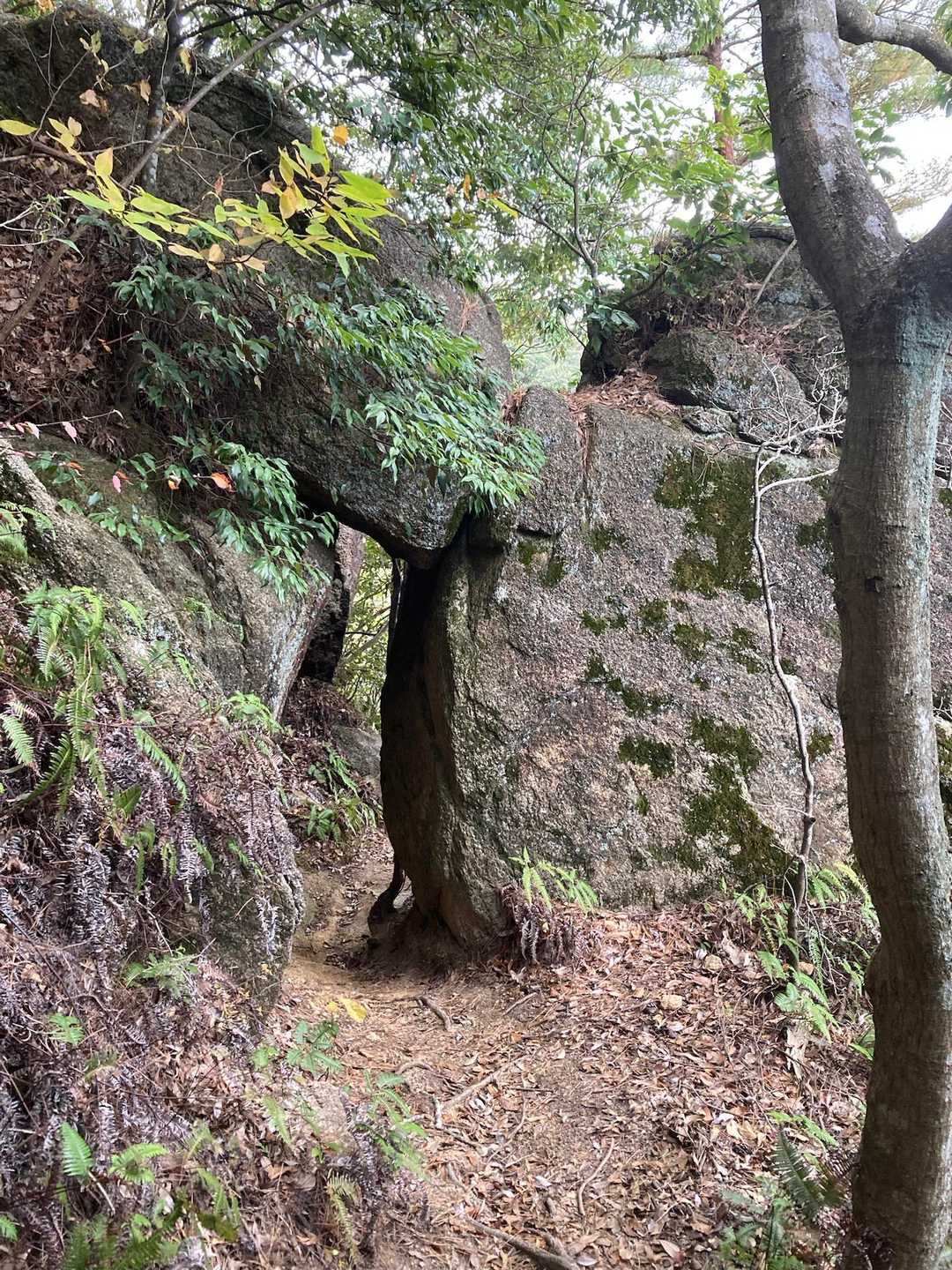 くぐったらすぐに鎖で降ります