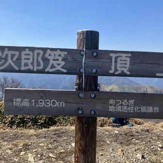 カエルちゃん🐸