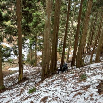 ルートがわからない