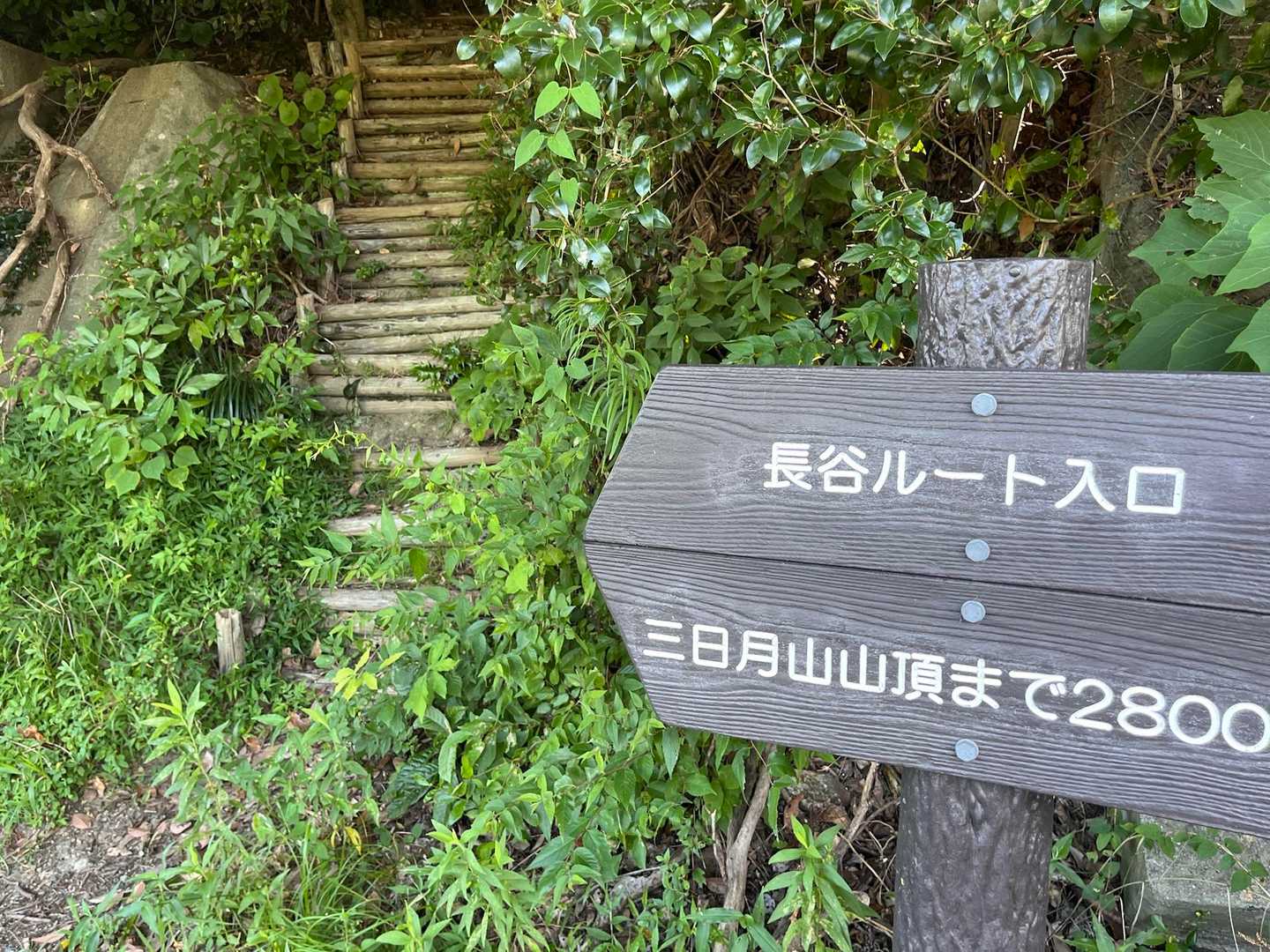 今日はここから