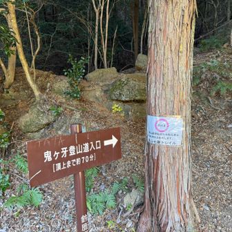 ここは、鬼ヶ牙の登山口ではおすすめされてません😅