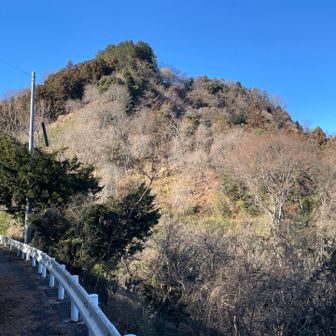 子王山山頂左側の木々が高崎方面から見ても分かるくらい特徴的
ぜひ探してみてください