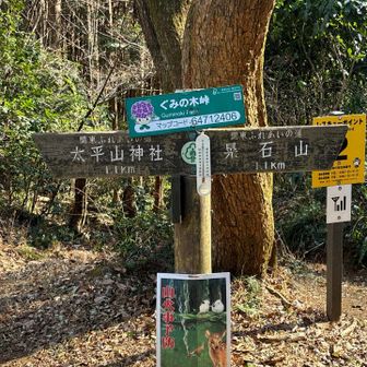 グミ誰も持って来てないの💦