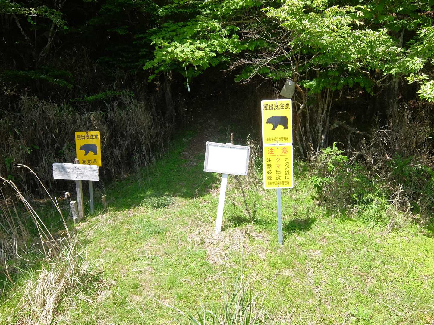 矢筈峠-綱附森 往復コースの写真