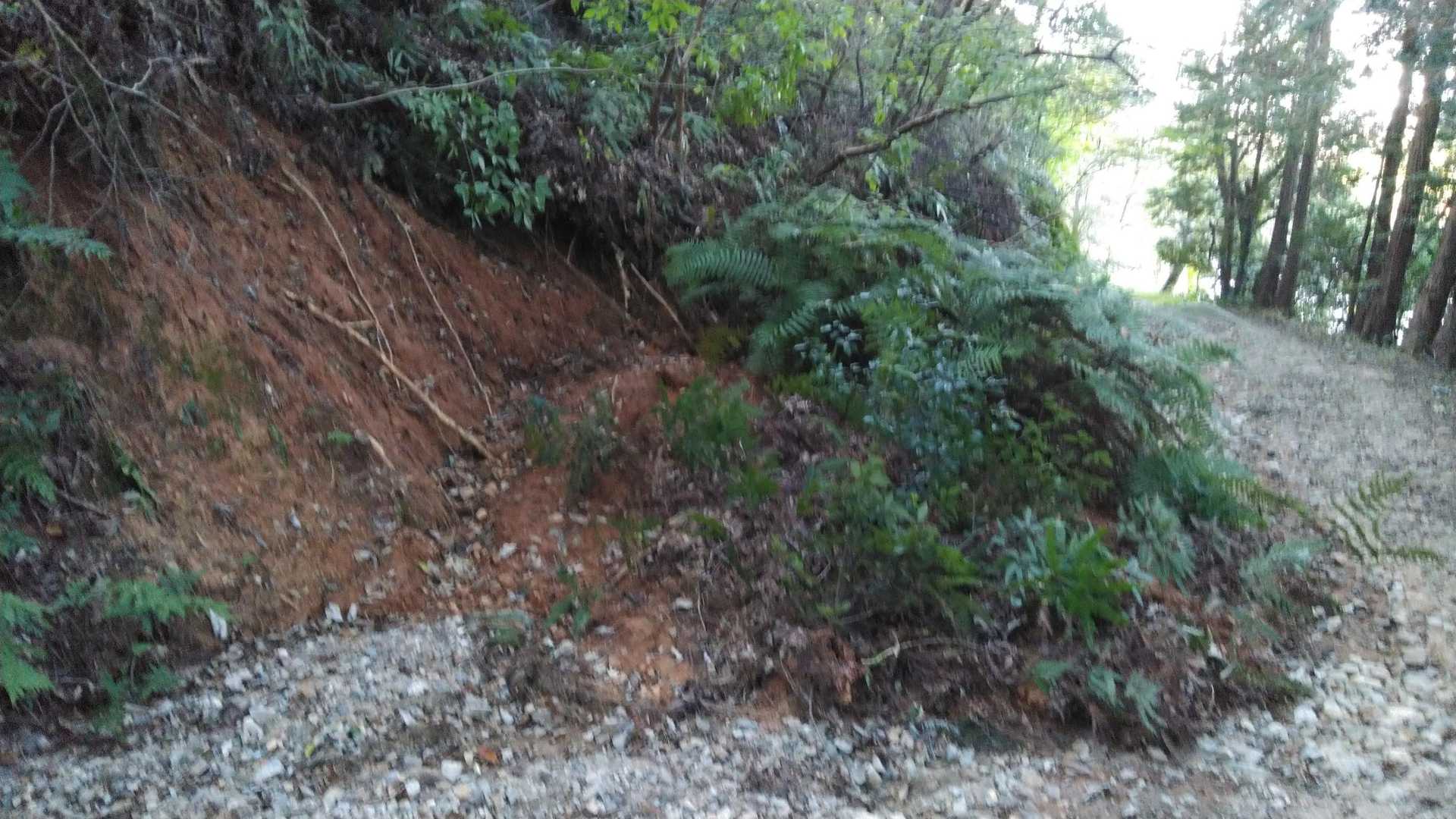 法面が土砂崩れしてました。