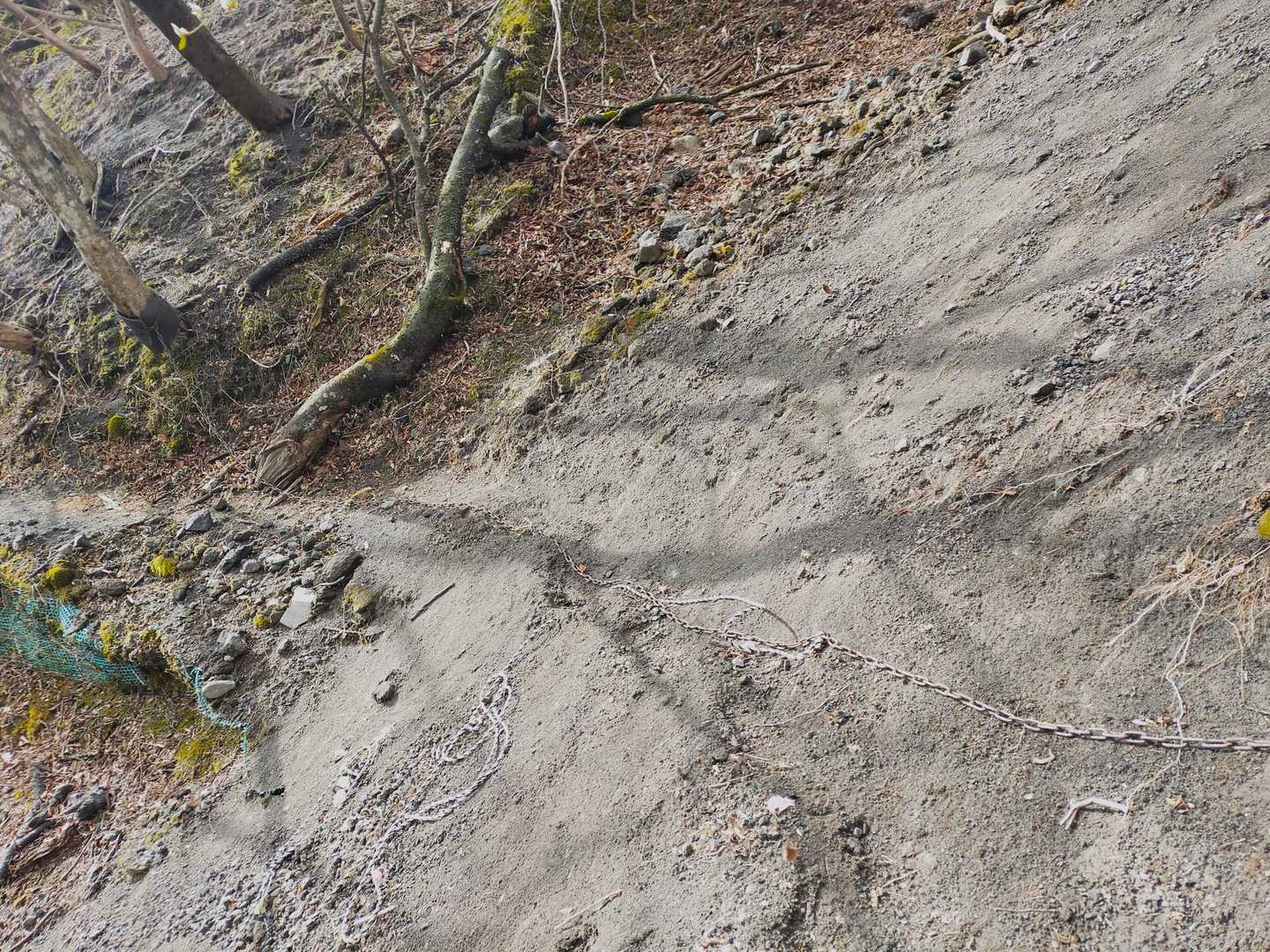 篭山 周回コースの写真